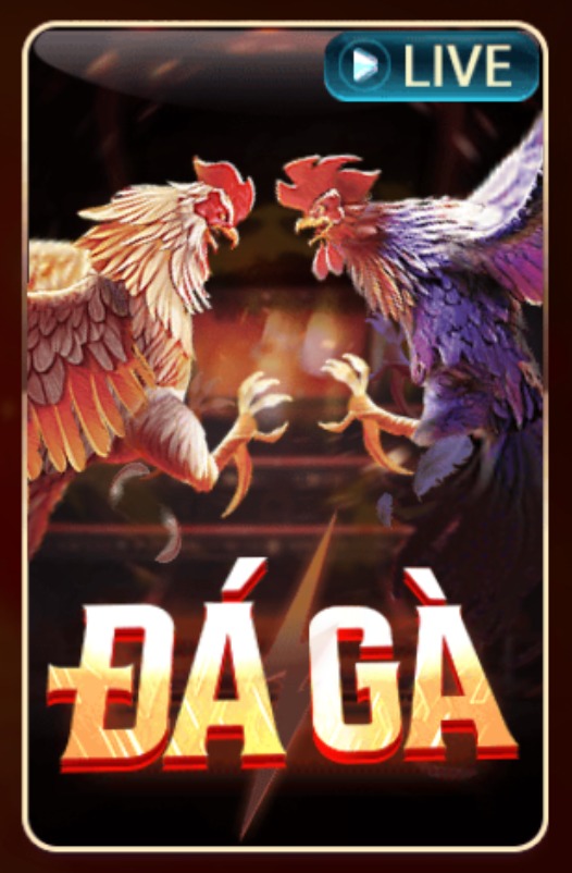 Đá Gà Live Trực Tiếp